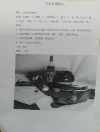 2017年鄭州大學美術類校考色彩考題(山東考點).png
