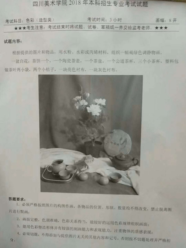 2018年四川美術學院造型類校考色彩考題(重慶考點).jpg